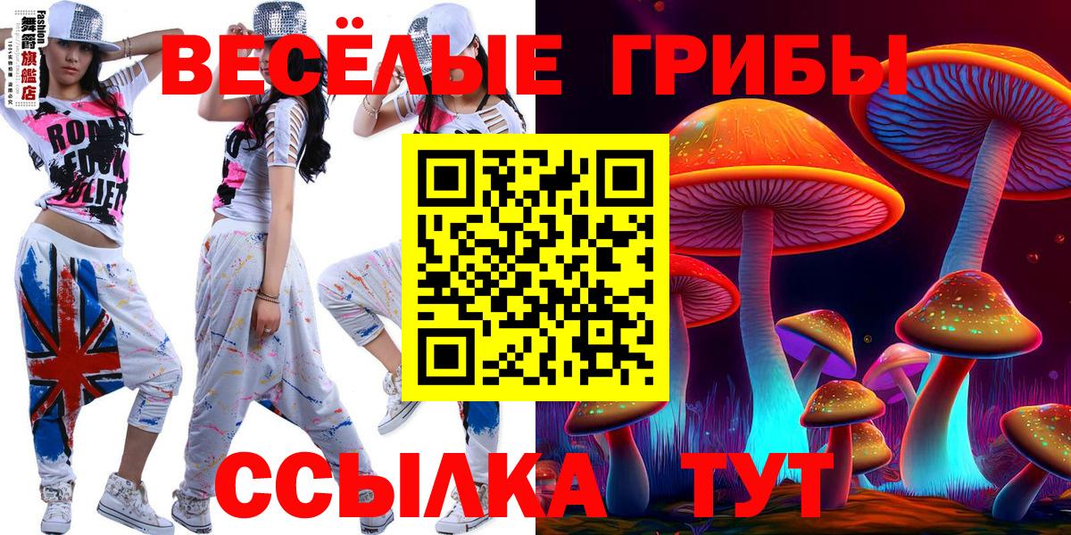 Прохладный  Галлюциногенные грибы Psilocybe  Галлюциногенные грибы MAGIC MUSHROOMS  Вход с VPN 