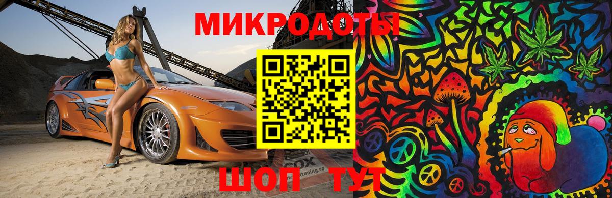 Псилоцибиновые грибы Psilocybe Прохладный